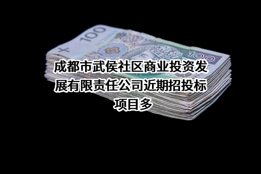 成都市武侯社区商业投资发展有限责任公司