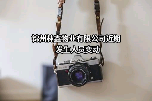 锦州林鑫物业有限公司