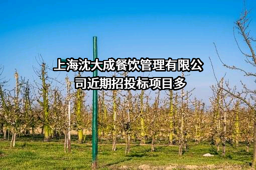 上海沈大成餐饮管理有限公司