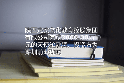 陕西定安文化教育控股集团有限公司