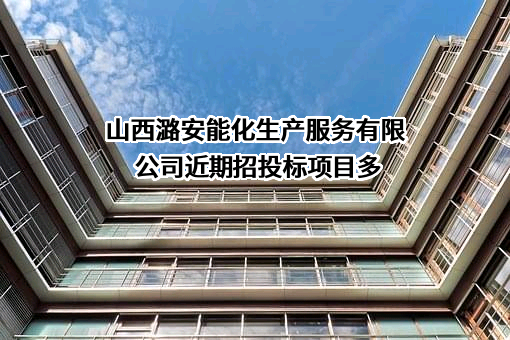 山西潞安能化生产服务有限公司