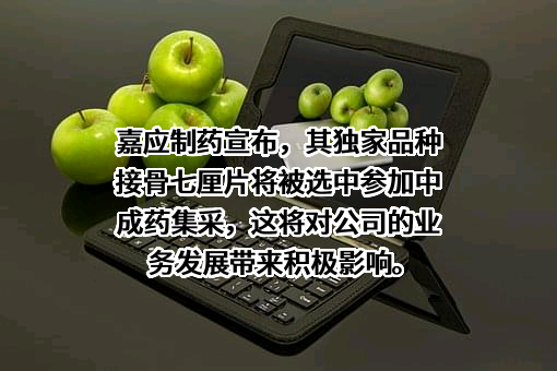 广东嘉应制药股份有限公司