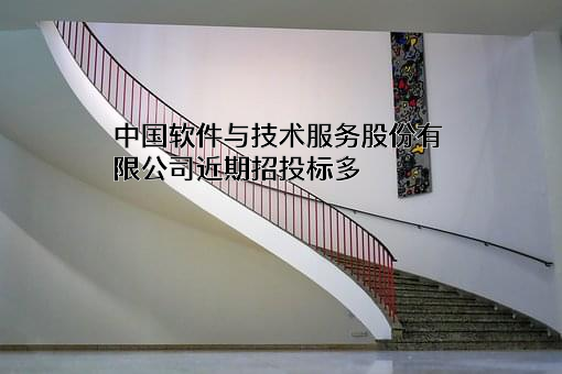 中国软件与技术服务股份有限公司