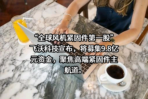 湖南飞沃新能源科技股份有限公司