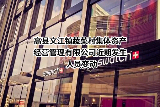 高县文江镇蔬菜村集体资产经营管理有限公司