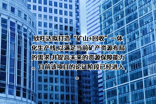 欣旺达电子股份有限公司