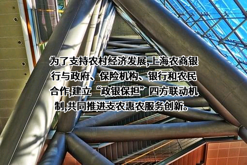 上海农村商业银行股份有限公司