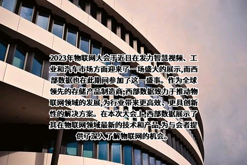 西部数据公司