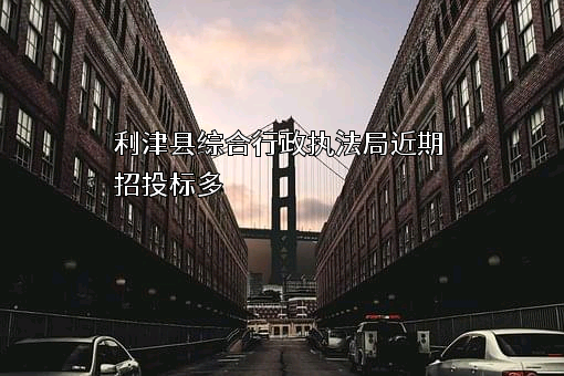 利津县综合行政执法局