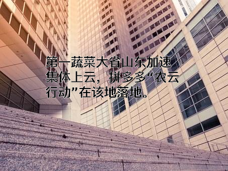 上海寻梦信息技术有限公司