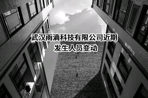 武汉雨滴科技有限公司近期发生人员变动