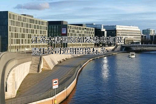 江苏大唐国际如皋热电有限责任公司近期招投标项目多