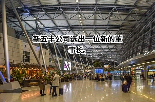 湖南新五丰股份有限公司