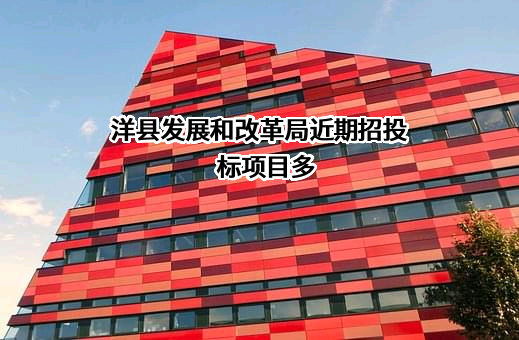 洋县发展和改革局