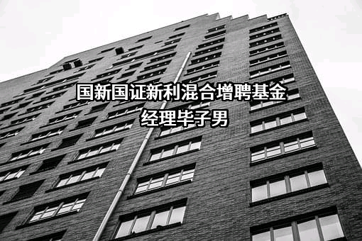 国新国证基金管理有限公司