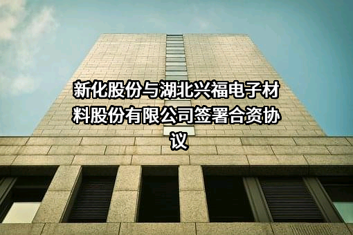 浙江新化化工股份有限公司
