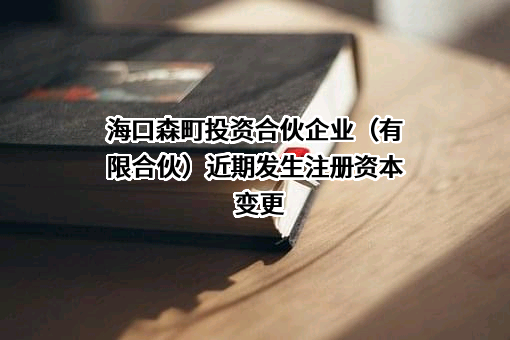 海口森町投资合伙企业（有限合伙）
