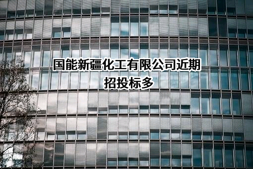 国能新疆化工有限公司