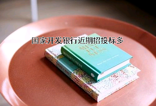 国家开发银行