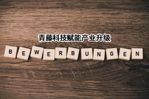 北京青藤科技股份有限公司
