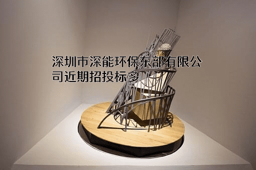 深圳市深能环保东部有限公司