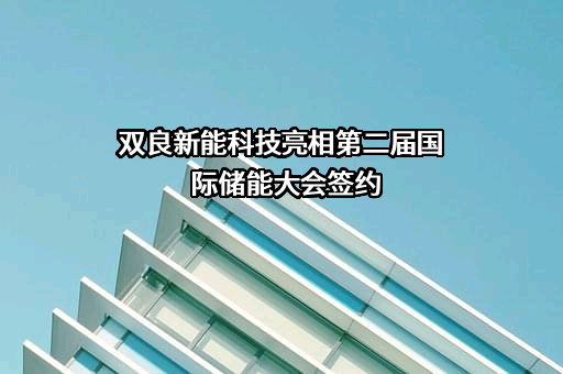 双良节能系统股份有限公司