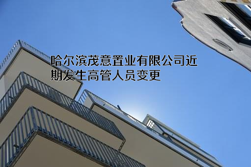 哈尔滨茂意置业有限公司