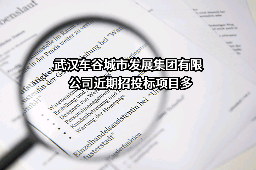 武汉车谷城市发展集团有限公司近期招投标项目多