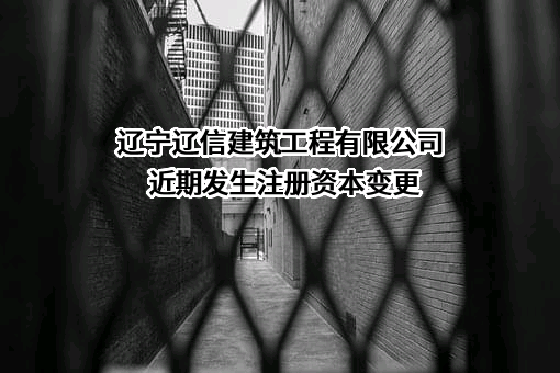 辽宁辽信建筑工程有限公司