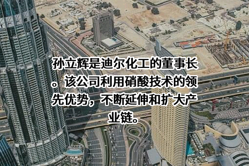 山东华阳迪尔化工股份有限公司