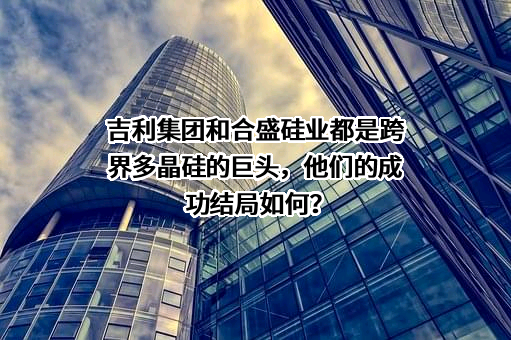 宁夏宝丰集团有限公司