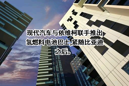 现代汽车（中国）投资有限公司