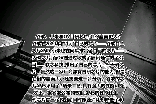 谷歌信息技术（中国）有限公司