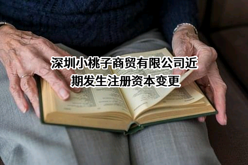 深圳小桃子商贸有限公司
