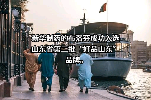 山东新华制药股份有限公司