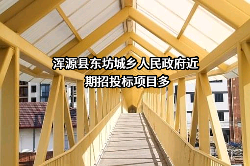 浑源县东坊城乡人民政府
