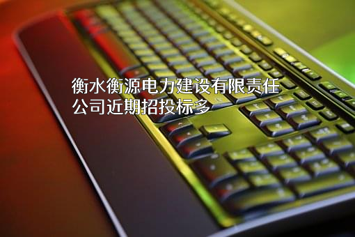 衡水衡源电力建设有限责任公司