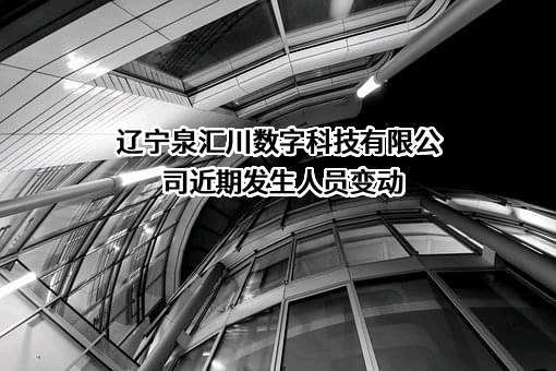辽宁泉汇川数字科技有限公司