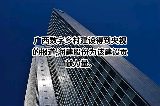 润建股份有限公司