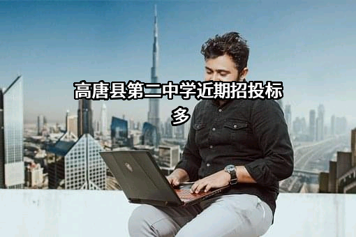 高唐县第二中学