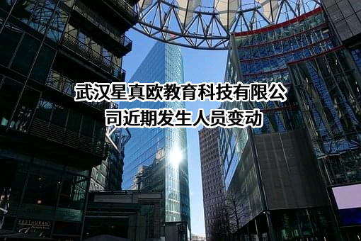 武汉星真欧教育科技有限公司