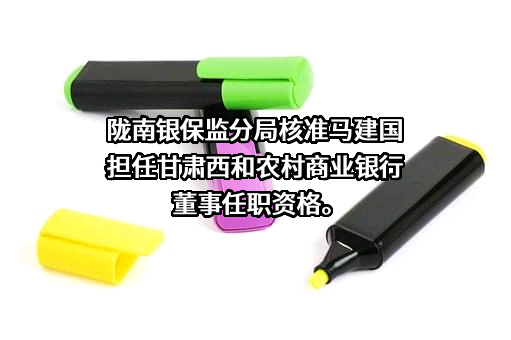 甘肃西和农村商业银行股份有限公司