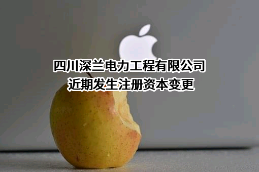 四川深兰电力工程有限公司