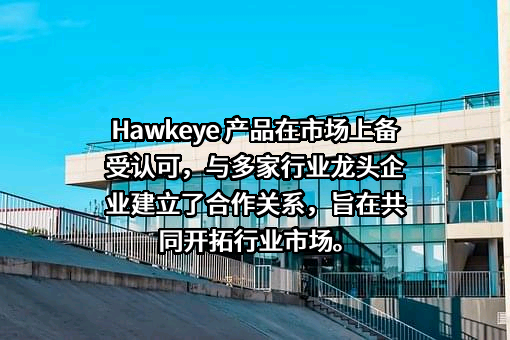安徽璞华大数据技术有限公司