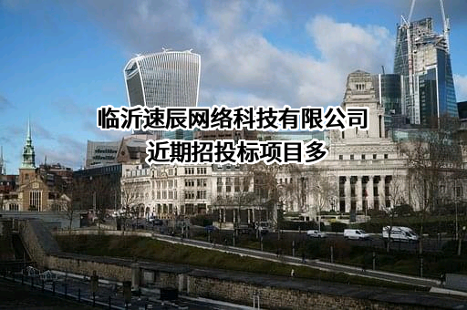 临沂速辰网络科技有限公司近期招投标项目多
