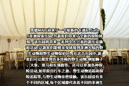 上海卡通尼文化发展有限公司