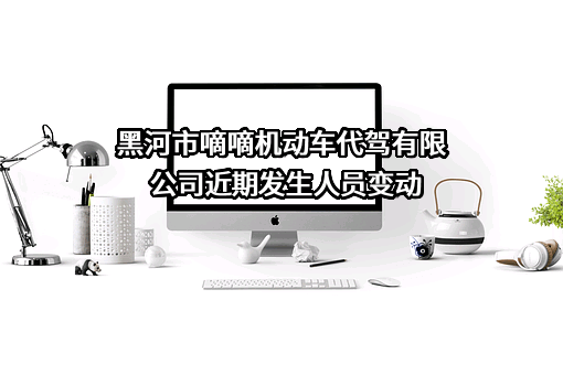 黑河市嘀嘀机动车代驾有限公司