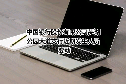 中国银行股份有限公司芜湖公园大道支行