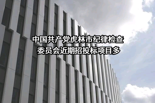 中国共产党虎林市纪律检查委员会