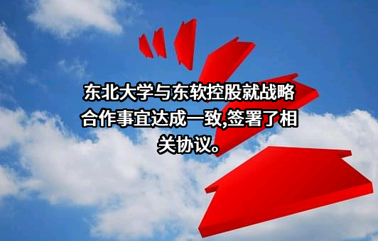 大连东软控股有限公司